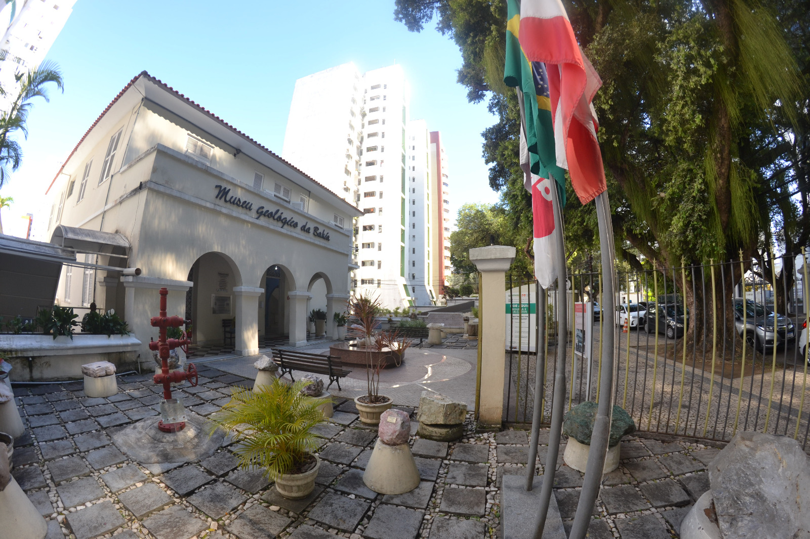 Dois de Julho: Mercados estaduais e Ceasa terão fechamento antecipado no feriado de Independência da Bahia