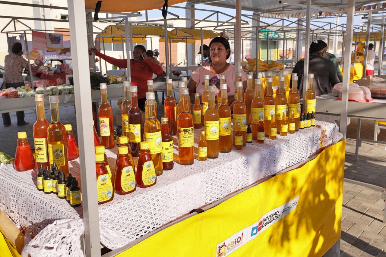 Em Remanso, Governo do Estado entrega obras de infraestrutura e agricultura familiar