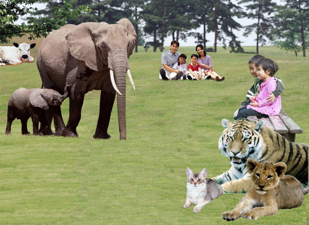 Imagem da exposição Visões Pós-Apocalípticas (web)