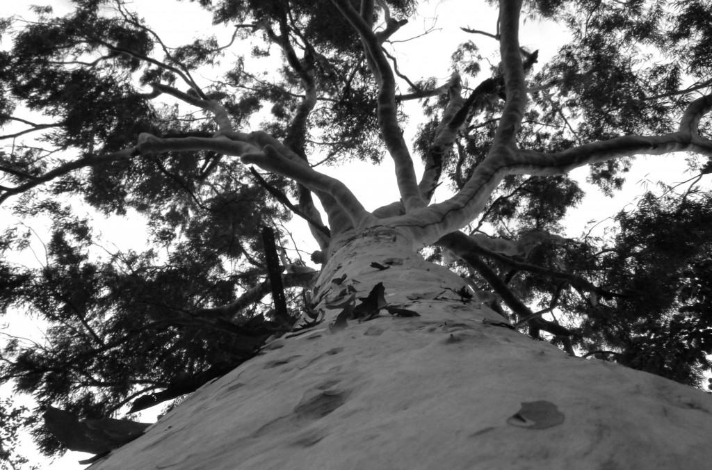 exposic3a7c3a3o-libras-em-foco-foto-por-andrc3a9-luis