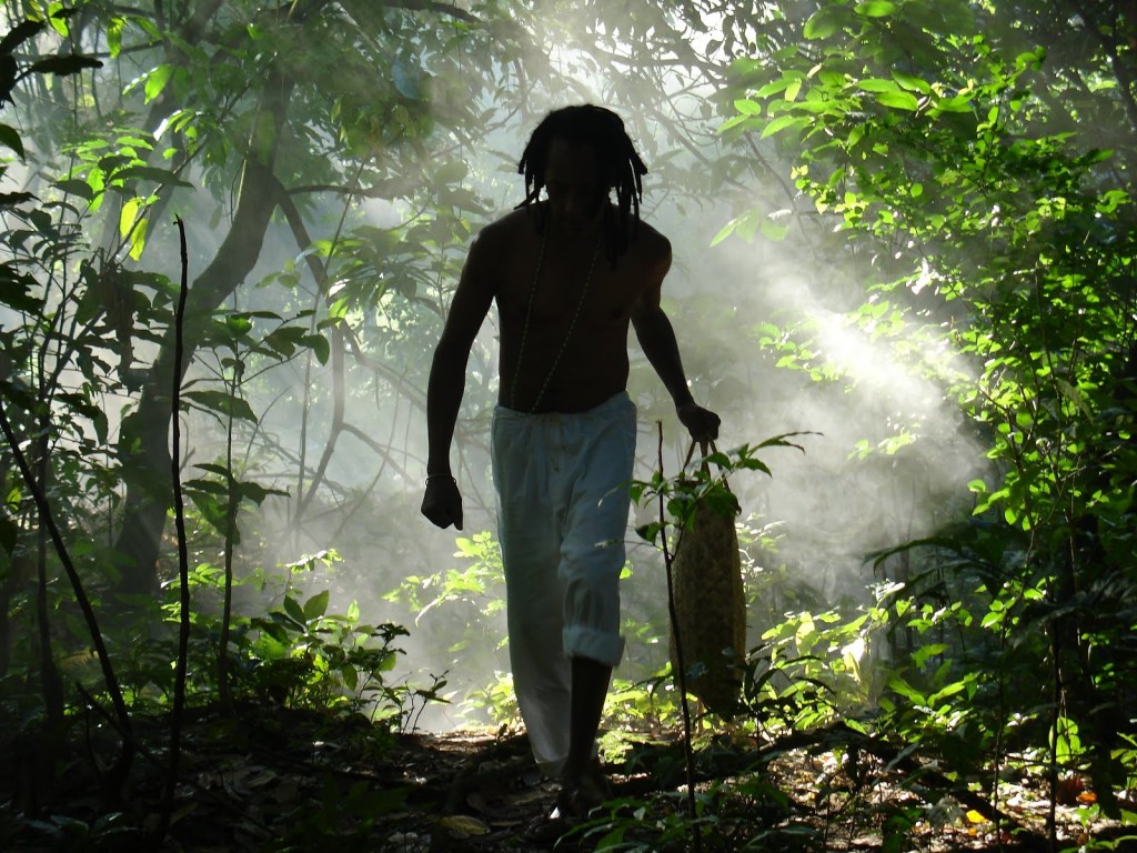 Jardim das folhas sagradas 01 - Divulgação