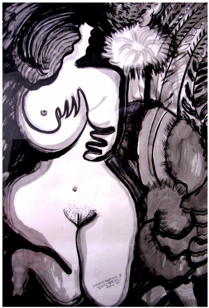 Triangulações_desenho de Daniel Santiago e Alberto Cunha Melo