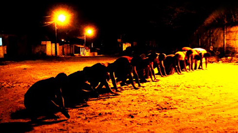 Exu A Boca do Universo