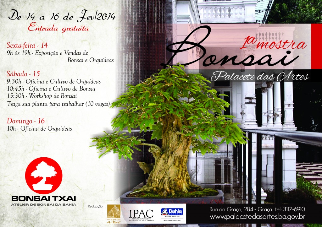primeira mostra bonsai