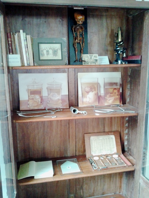 Bienal da Bahia discute racismo científico