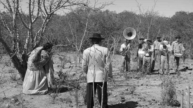 Curta Cães_Foto Divulgação_WEB