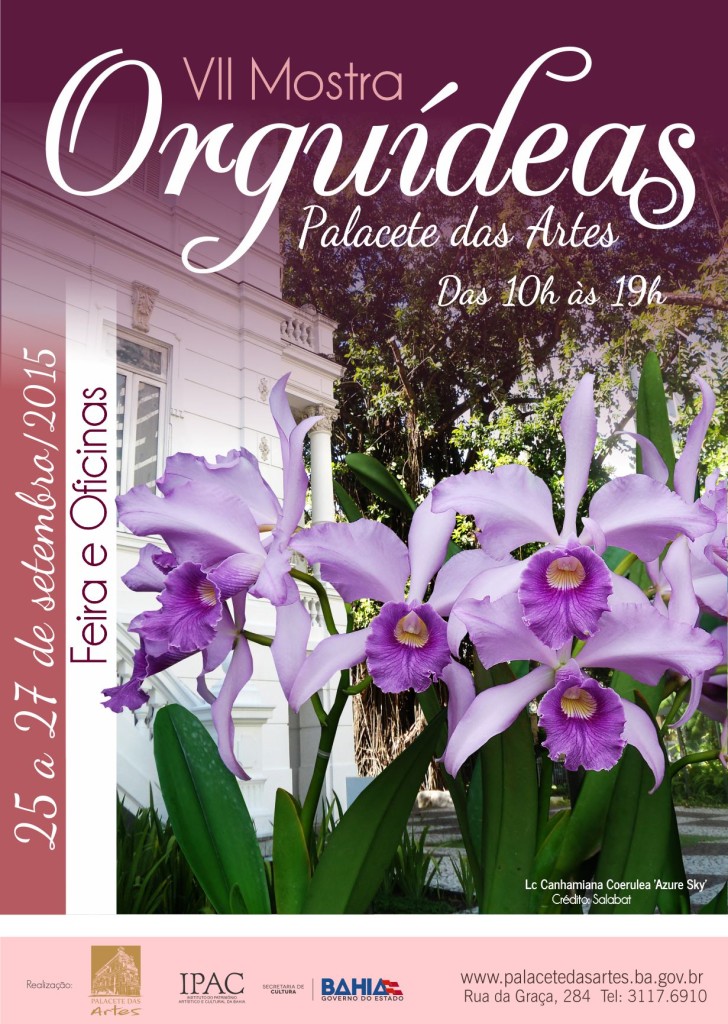 VII MOSTRA PALACETE - cartaz