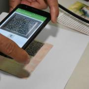 Detran orienta condutores sobre emissão gratuita da CNH digital