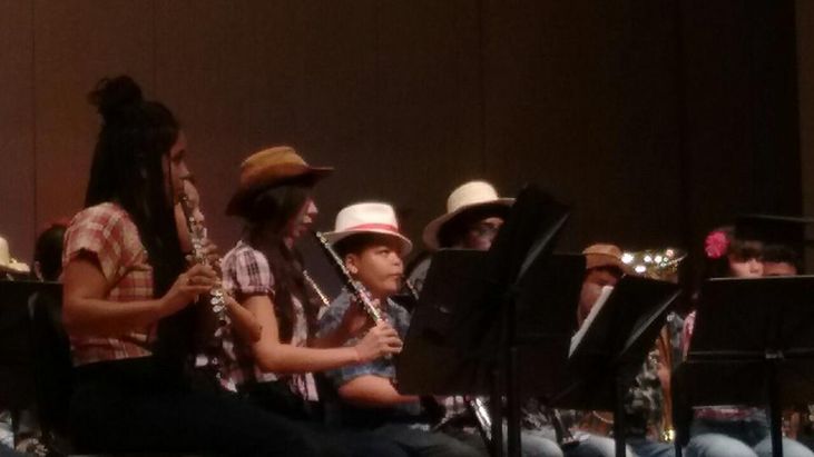 bandas de quatro cidades tiveram formação e se apresentaram com orquestra