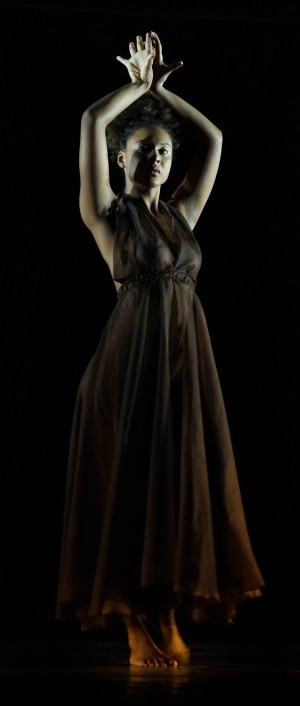 Nanquim (Foto: Amoreno)