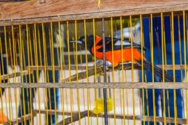 WhatsApp Image 2025-08-22 at 13.09.38.jpeg