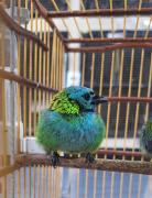 WhatsApp Image 2025-09-01 at 16.05.48.jpeg