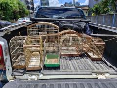 Porto Sul - fiscalização de fauna