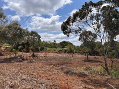 Fiscalização conjunta atua contra infrações ambientais na Serra da Chapadinha
