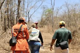 Operação Ronda Verde - Oeste