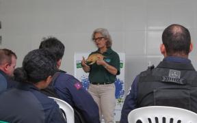 Fotos de Salvador Miranda (4).jpeg