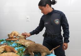 Fotos de Salvador Miranda (6).jpeg