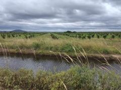 Visita Sistema Hídrico de Pindobaçu (6).jpeg