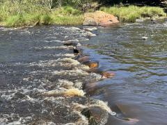 Visita Sistema Hídrico de Pindobaçu (8).jpg