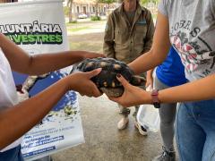 ”Animal silvestre não é pet”: campanha em Amargosa inspira novos olhares sobre a natureza