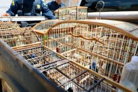 WhatsApp Image 2025-10-14 at 11.11.07 (1).jpeg