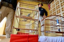 WhatsApp Image 2025-10-14 at 11.11.08.jpeg