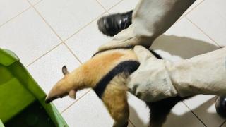 WhatsApp Image 2025-10-14 at 15.53.38.jpeg