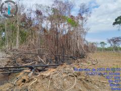 Operação Mata Branca - Utinga (2).jpg