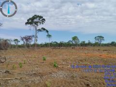 Operação Mata Branca - Utinga (3).jpg