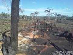Operação Mata Branca - Utinga (4).jpeg