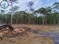 Operação Mata Branca - Utinga (4).jpg