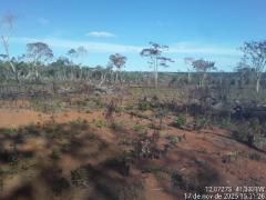 Operação Mata Branca - Utinga (5).jpeg