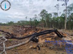 Operação Mata Branca - Utinga.jpg