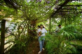 PROT'AIR em Nilo Peçanha (11).jpeg