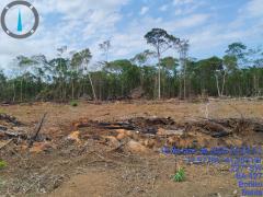 Operação Mata Branca - Utinga (2).jpeg