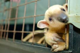 WhatsApp Image 2025-11-03 at 13.06.25 (1).jpeg