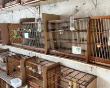 WhatsApp Image 2025-11-04 at 09.05.51.jpeg