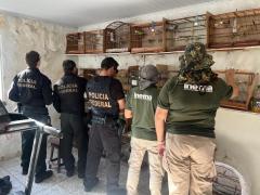 WhatsApp Image 2025-11-04 at 09.05.52.jpeg