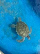 WhatsApp Image 2025-11-06 at 14.13.51 (1).jpeg