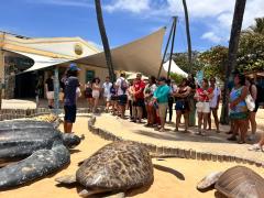 WhatsApp Image 2025-11-06 at 14.13.52.jpeg