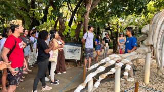 WhatsApp Image 2025-11-06 at 14.13.54 (1).jpeg