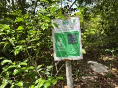 trilha na APA Joanes-Ipoitanga (11).jpeg