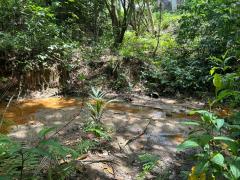 trilha na APA Joanes-Ipoitanga (2).jpeg