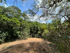 trilha na APA Joanes-Ipoitanga (3).jpeg