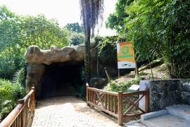 Reformas Parque Zoobotânico (61).jpg