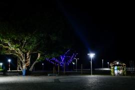 Natureza, lazer e conservação: Parque do Abaeté celebra o Natal com ornamentação sustentável