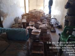 Fiscalização Juazeiro