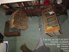 Fiscalização Juazeiro