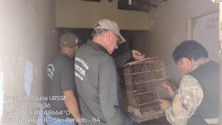 Fiscalização Juazeiro