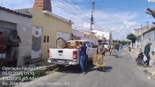 Fiscalização Juazeiro